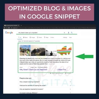 client optimized blog and images in google snippet