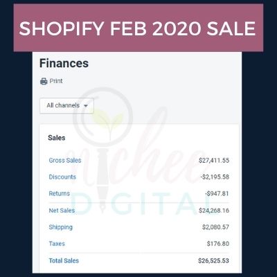 screenshot of shopify finances february 2020 sales